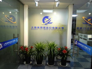 上海禹励进代理报关公司