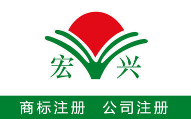 代办公司注册代理记账报税企业营业执照注销变更申请财务外包经营账