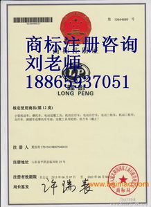 东营商标注册代理公司 东营商标注册成功率,东营商标注册代理公司 东营商标注册成功率生产厂家,东营商标注册代理公司 东营商标注册成功率价格